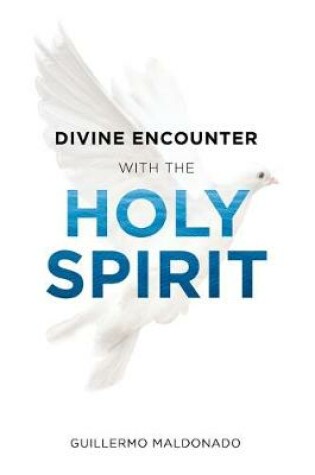 Cover of Divine Encounter with the Holy Spirit