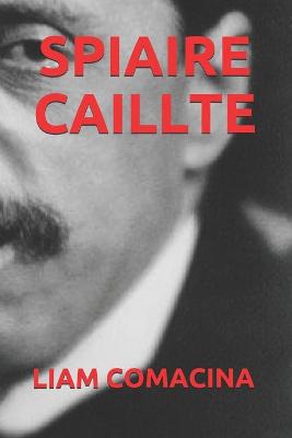 Book cover for Spiaire Caillte