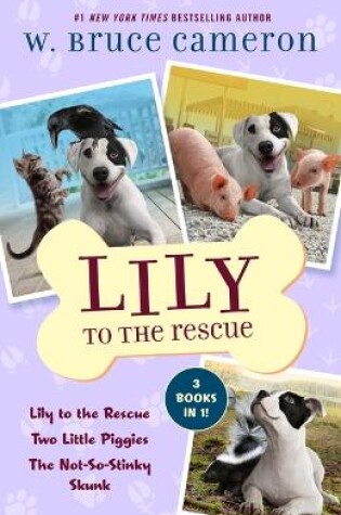 Cover of Lily to the Rescue Bind-Up Books 1-3