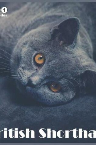 Cover of 2021 British Shorthair