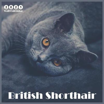 Book cover for 2021 British Shorthair