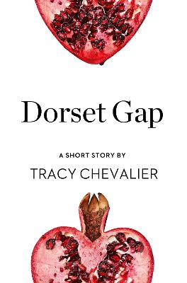Book cover for Dorset Gap