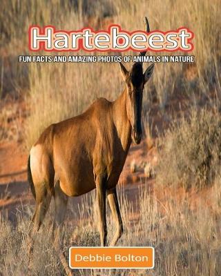 Book cover for Hartebeest