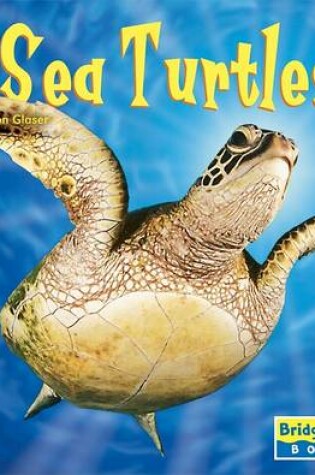 Cover of Sea Turtles