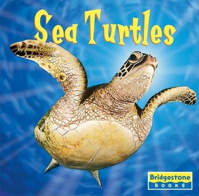 Book cover for Sea Turtles