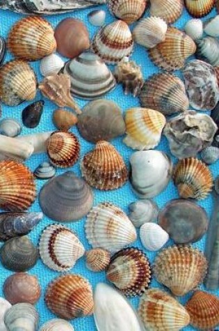 Cover of Shells