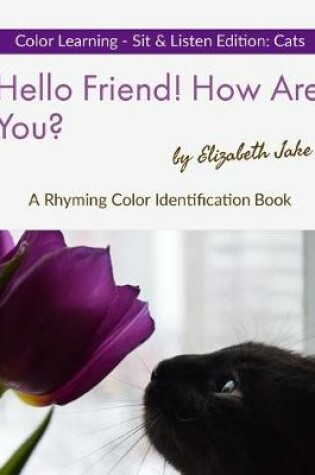 Cover of Hello Friend! How Are You? Color Learning Sit & Listen Edition