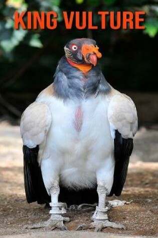 Cover of King Vulture