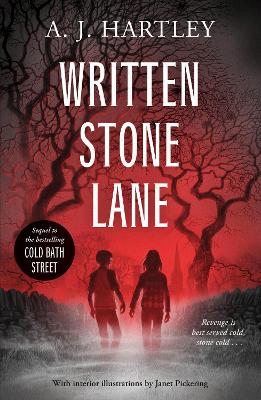 Book cover for Written Stone Lane
