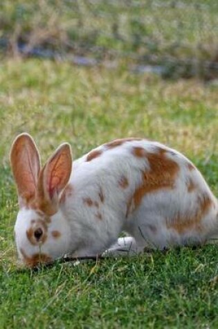 Cover of Rabbit in a Meadow Animal Journal