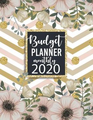 Book cover for Budget Planner Monthly 2020