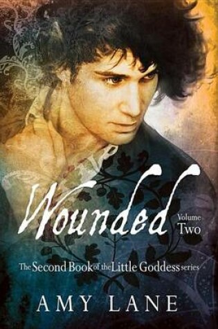 Cover of Wounded, Vol. 2