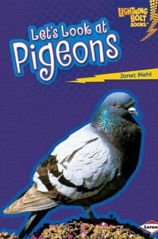 Cover of Lets Look at Pigeons