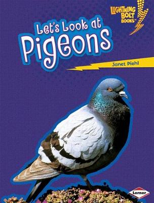 Cover of Lets Look at Pigeons