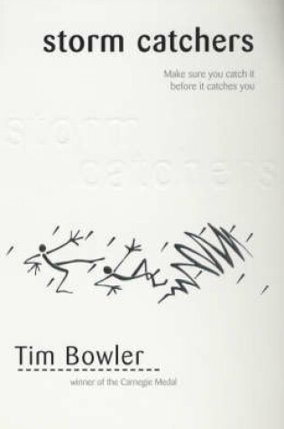 Cover of Storm Catchers