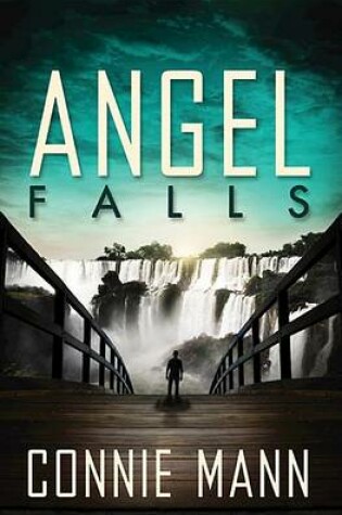 Cover of Angel Falls