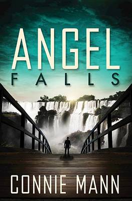 Book cover for Angel Falls