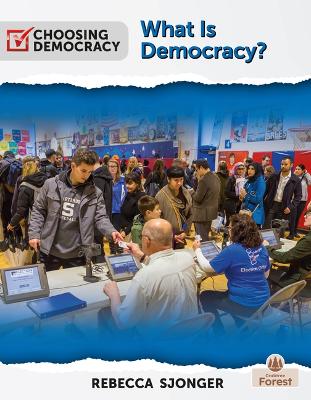 Book cover for What Is Democracy?