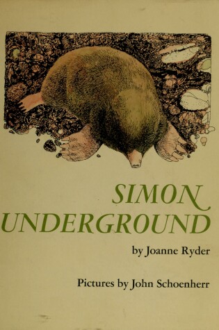 Cover of Simon Underground