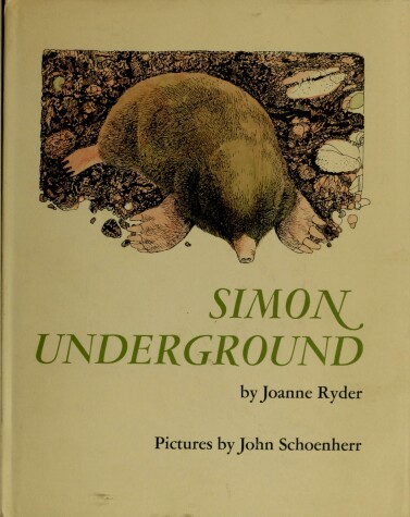 Book cover for Simon Underground