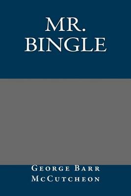 Book cover for Mr. Bingle