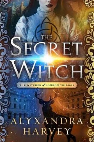 Cover of The Secret Witch