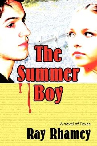 Cover of The Summer Boy