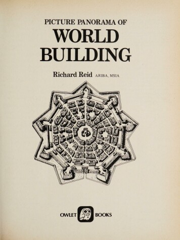 Book cover for Picture Panorama of World Building
