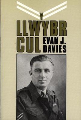 Book cover for Llwybr Cul, Y