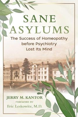 Book cover for Sane Asylums