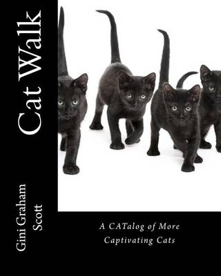 Book cover for Cat Walk