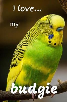 Book cover for I Love my Budgie