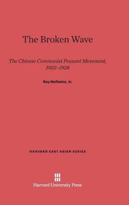 Book cover for The Broken Wave