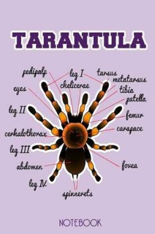Cover of Tarantula Notebook