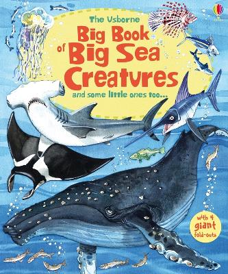 Book cover for Big Book of Big Sea Creatures