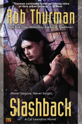 Cover of Slashback