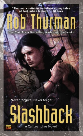 Book cover for Slashback