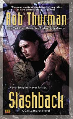 Book cover for Slashback