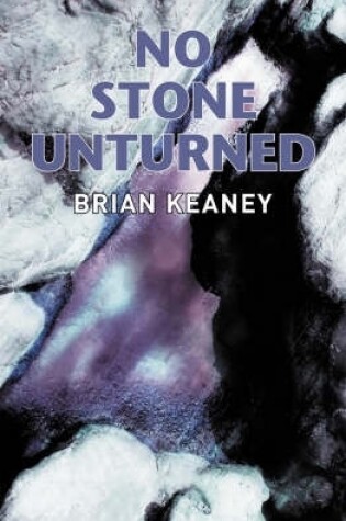 Cover of No Stone Unturned