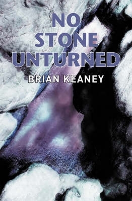 Book cover for No Stone Unturned