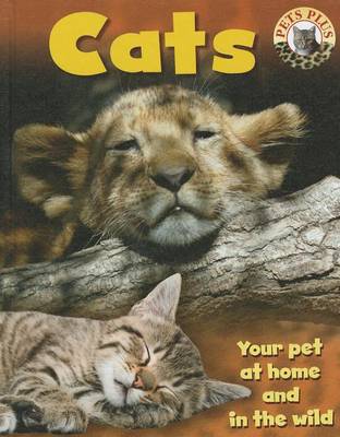 Book cover for Cats