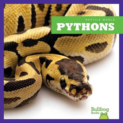 Cover of Pythons