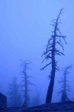 Cover of Dead Winter Pine Trees in a Heavy Mountain Fog Journal