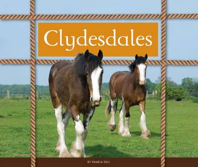 Cover of Clydesdales