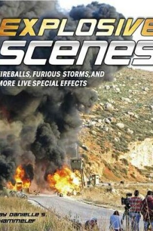 Cover of Explosive Scenes