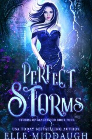 Cover of Perfect Storms