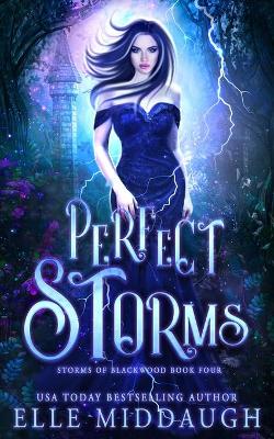Cover of Perfect Storms
