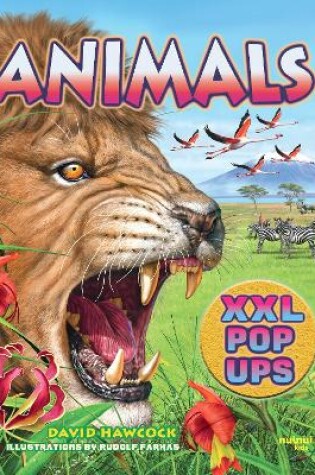 Cover of Animals XXL pop-ups