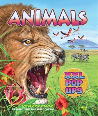 Book cover for Animals XXL pop-ups