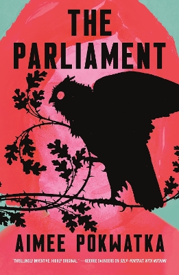 Book cover for The Parliament